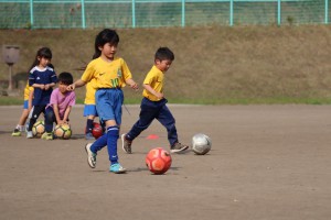 IMG_4083 (1024x683)