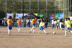 IMG_8082 (1024x683)