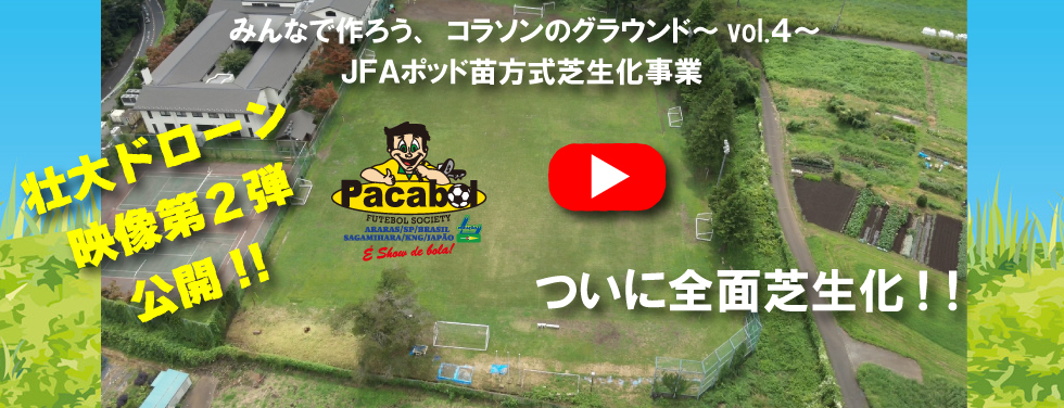 パカボル芝生化