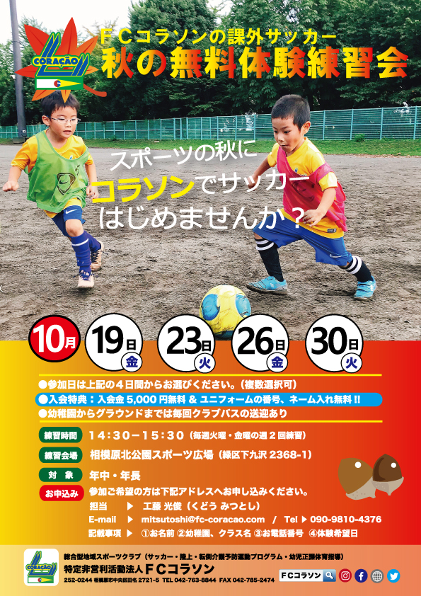 18)幼児秋の無料体験練習会チラシ