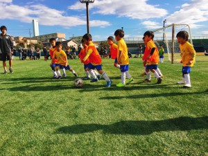 IMG_4141 (800x600) (800x600)